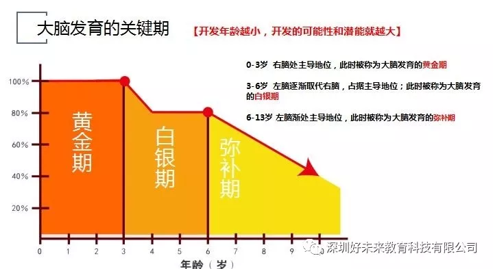 什(shén)麼是專注力，究竟對孩子(zǐ)有多重要？